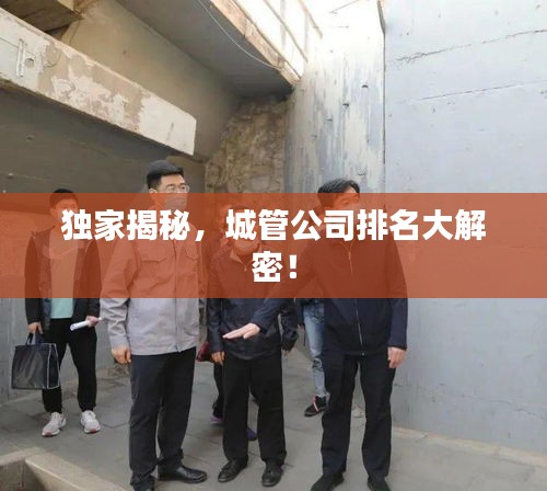 独家揭秘，城管公司排名大解密！