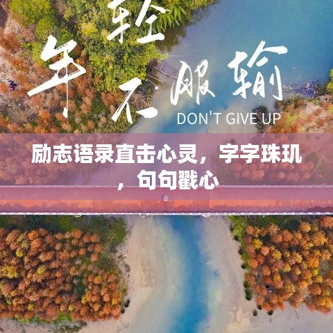 励志语录直击心灵，字字珠玑，句句戳心