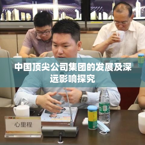 中国顶尖公司集团的发展及深远影响探究