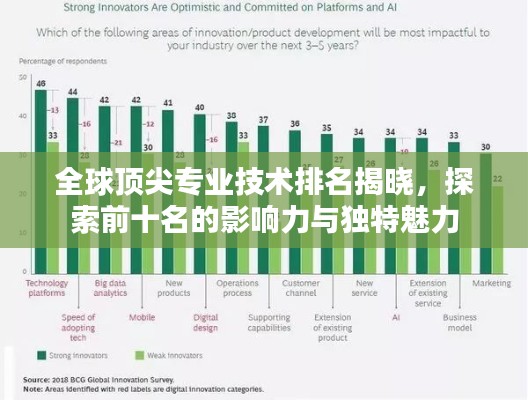 全球顶尖专业技术排名揭晓，探索前十名的影响力与独特魅力
