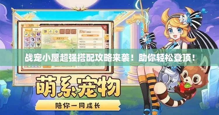 战宠小屋超强搭配攻略来袭！助你轻松登顶！