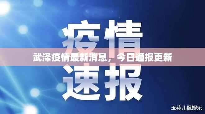 武泽疫情最新消息，今日通报更新
