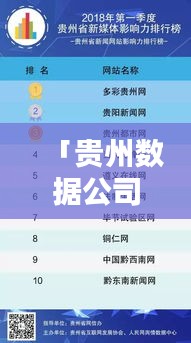 「贵州数据公司排行榜及影响力解析」