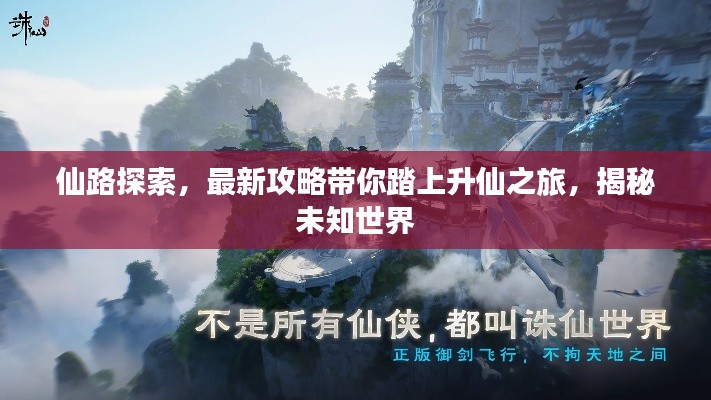 仙路探索，最新攻略带你踏上升仙之旅，揭秘未知世界