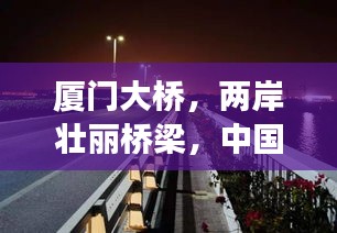 厦门大桥，两岸壮丽桥梁，中国桥梁排名前十的璀璨明珠