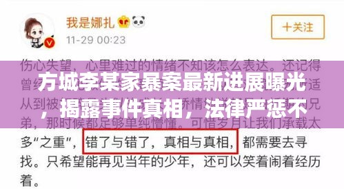 方城李某家暴案最新进展曝光，揭露事件真相，法律严惩不贷