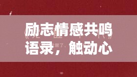 励志情感共鸣语录，触动心灵深处的话语