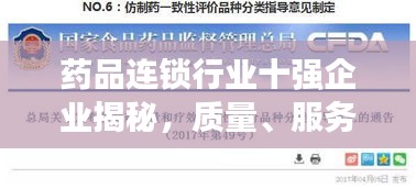 药品连锁行业十强企业揭秘，质量、服务与品牌影响力的佼佼者