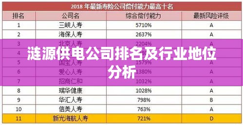 涟源供电公司排名及行业地位分析