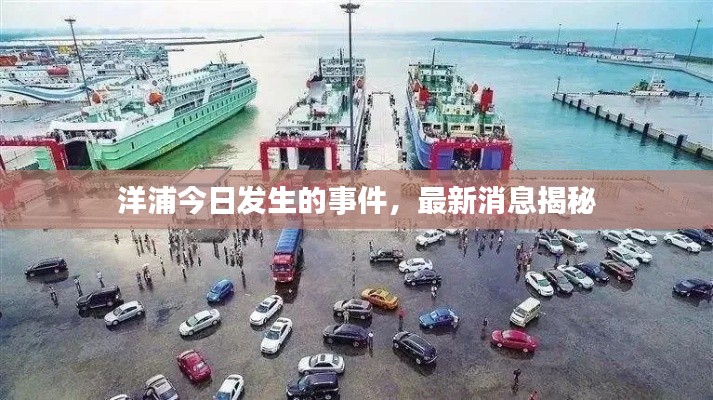 洋浦今日发生的事件，最新消息揭秘