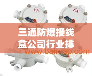 三通防爆接线盒公司行业排名大揭秘！