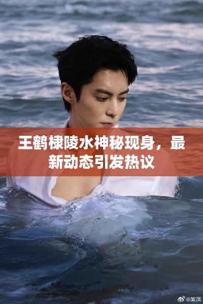 王鹤棣陵水神秘现身，最新动态引发热议