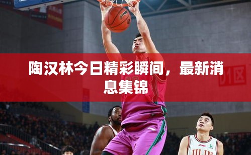 陶汉林今日精彩瞬间，最新消息集锦