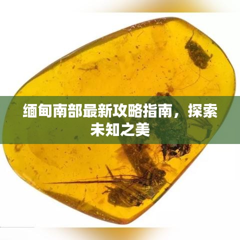缅甸南部最新攻略指南，探索未知之美