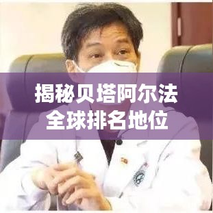揭秘贝塔阿尔法全球排名地位