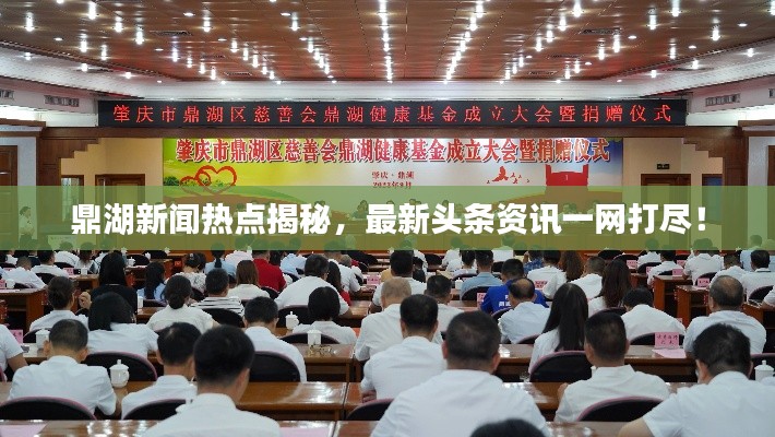 鼎湖新闻热点揭秘，最新头条资讯一网打尽！
