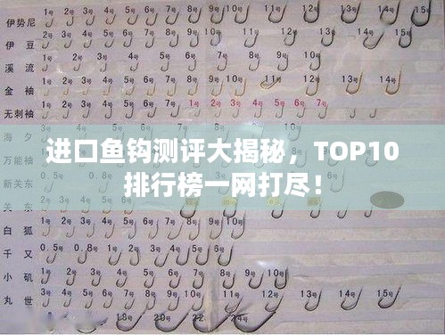 进口鱼钩测评大揭秘，TOP10排行榜一网打尽！