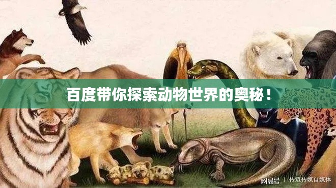百度带你探索动物世界的奥秘！