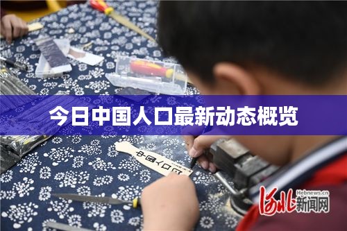 今日中国人口最新动态概览