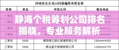 静海个税筹划公司排名揭晓，专业服务解析