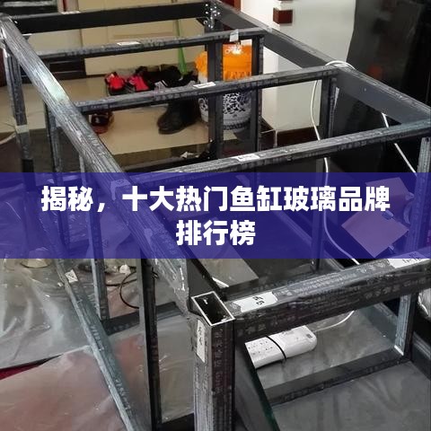 揭秘，十大热门鱼缸玻璃品牌排行榜