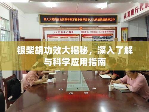 银柴胡功效大揭秘，深入了解与科学应用指南