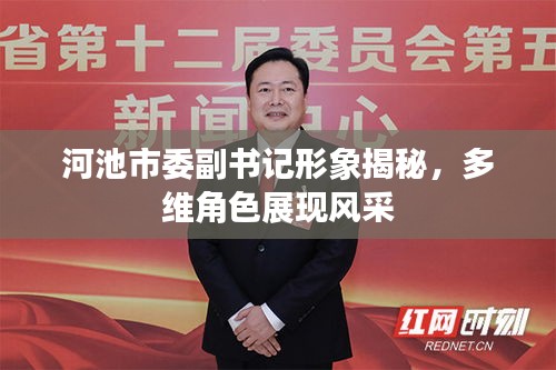 河池市委副书记形象揭秘，多维角色展现风采