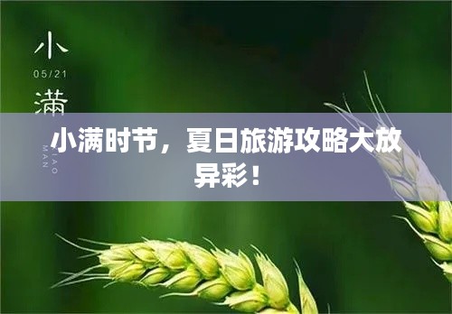 小满时节，夏日旅游攻略大放异彩！