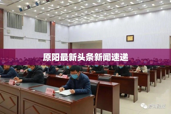 原阳最新头条新闻速递