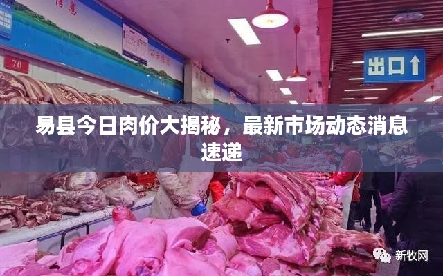 易县今日肉价大揭秘，最新市场动态消息速递