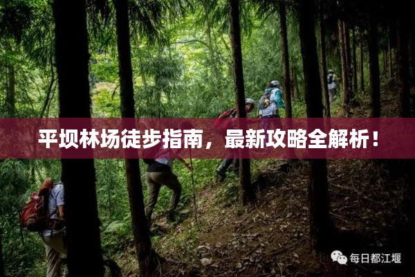 平坝林场徒步指南，最新攻略全解析！