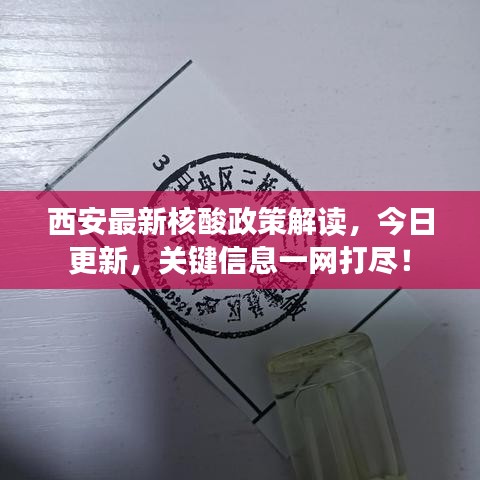 西安最新核酸政策解读，今日更新，关键信息一网打尽！