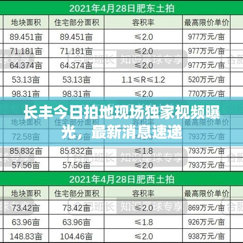 长丰今日拍地现场独家视频曝光，最新消息速递