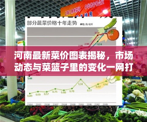 河南最新菜价图表揭秘，市场动态与菜篮子里的变化一网打尽