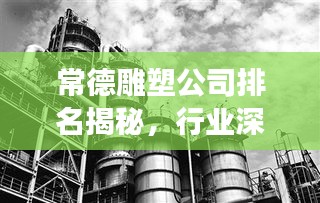 案例见证 第56页