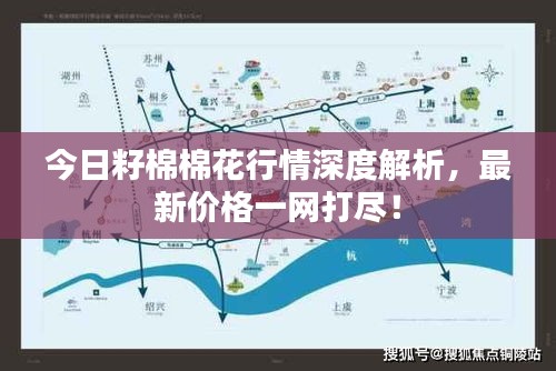 今日籽棉棉花行情深度解析，最新价格一网打尽！
