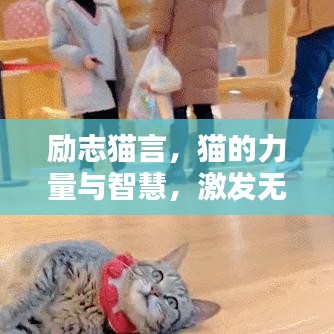 励志猫言，猫的力量与智慧，激发无限潜能