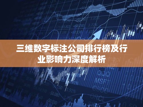 三维数字标注公司排行榜及行业影响力深度解析