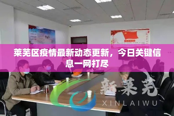 莱芜区疫情最新动态更新，今日关键信息一网打尽
