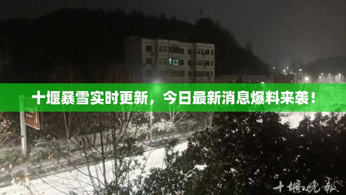 徙宅忘妻