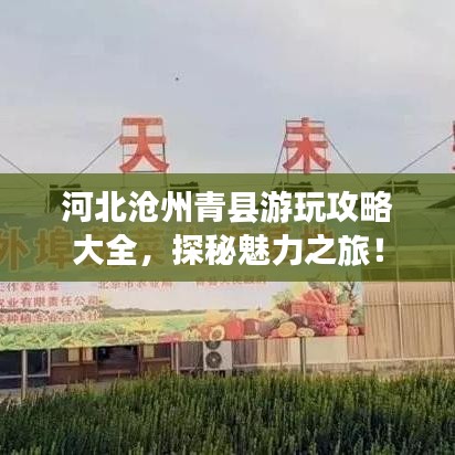 河北沧州青县游玩攻略大全，探秘魅力之旅！