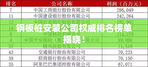 钢板桩安装公司权威排名榜单揭晓！