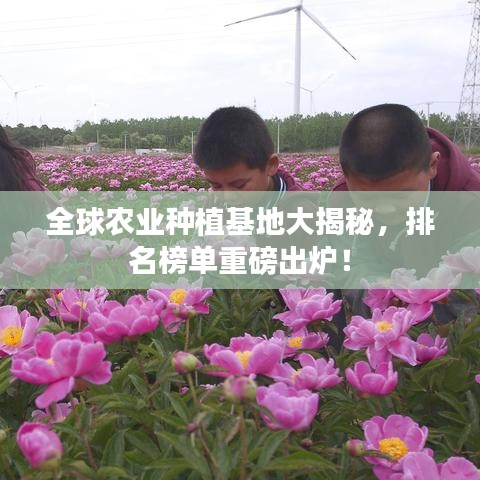 全球农业种植基地大揭秘，排名榜单重磅出炉！