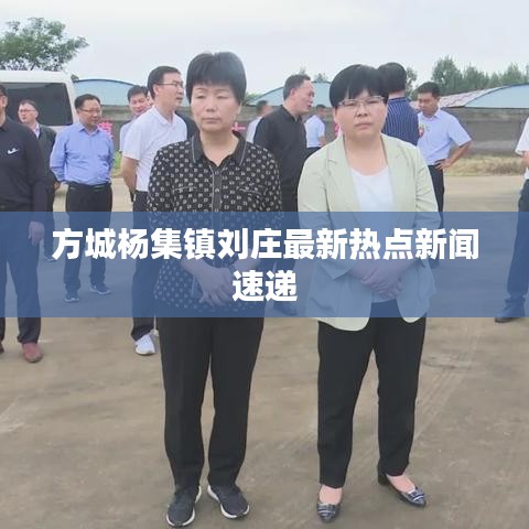 方城杨集镇刘庄最新热点新闻速递