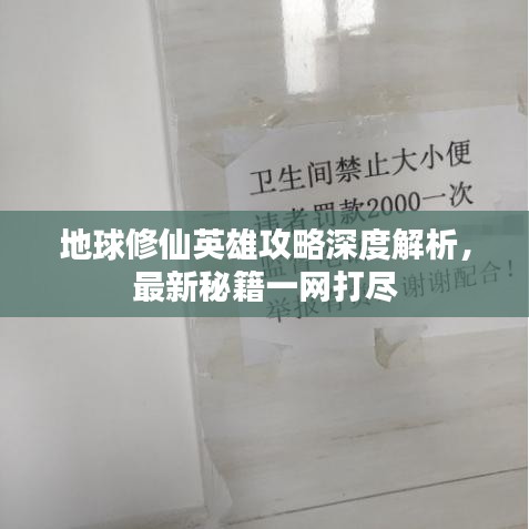 地球修仙英雄攻略深度解析，最新秘籍一网打尽
