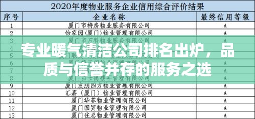 专业暖气清洁公司排名出炉，品质与信誉并存的服务之选