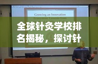 全球针灸学校排名揭秘，探讨针灸领域的影响力