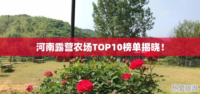 河南露营农场TOP10榜单揭晓！