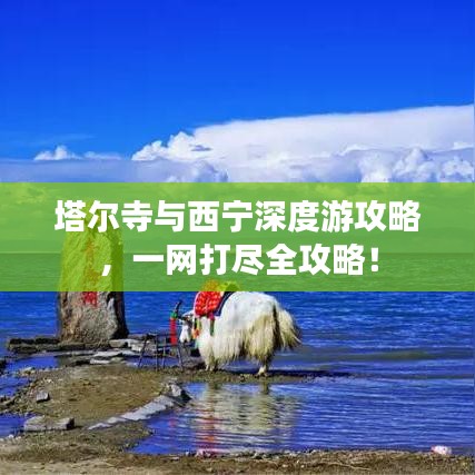 塔尔寺与西宁深度游攻略，一网打尽全攻略！