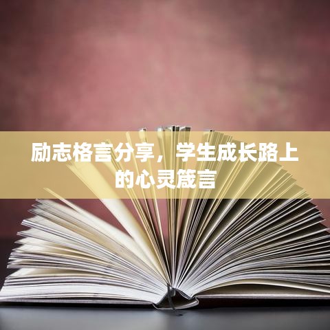 励志格言分享，学生成长路上的心灵箴言